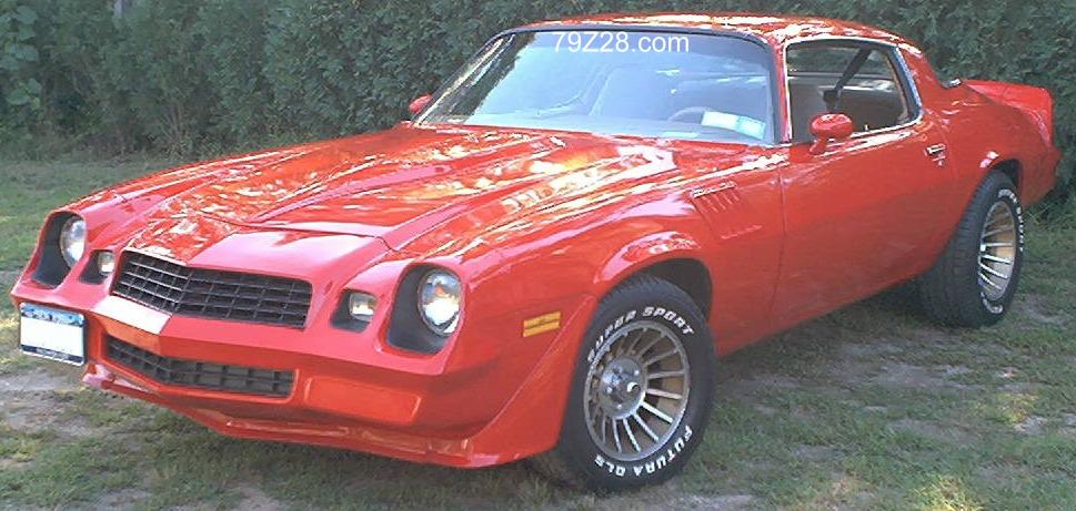 79z28.JPG (89190 bytes)